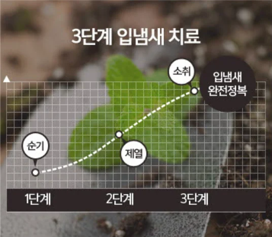 3단계 입냄새 치료: 1단계 순기, 2단계 제열, 3단계 소취, 입냄새 완전정복