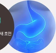 위를 강조한 인체 도해