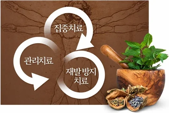 집중치료, 관리치료, 재발 방지 치료가 순환하는 3개월 맞춤치료 도해와 약재 절구
