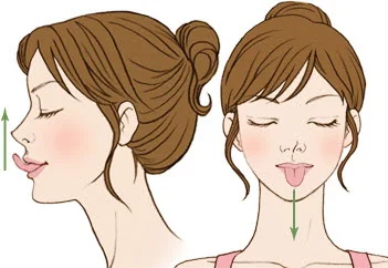 혀끝 위아래로 당기기 동작 그림