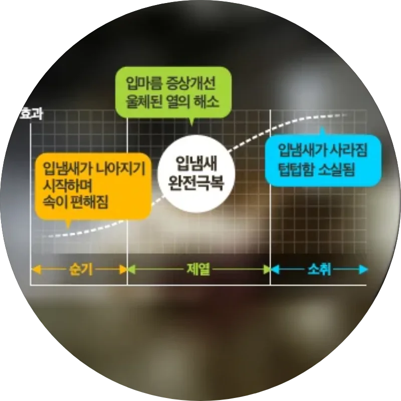 3개월 치료 과정 그래프. 순기: 입냄새가 나아지기 시작하며 속이 편해짐. 제열: 입마름 증상 개선과 울체된 열의 해소. 소취: 입냄새가 사라지고 답답함이 소실됨. 입냄새 완전극복을 표현한 안내 그래프.